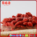 Zéro pesticide goji berry sec baie de goji baies de goji orgnic sur haute exportation